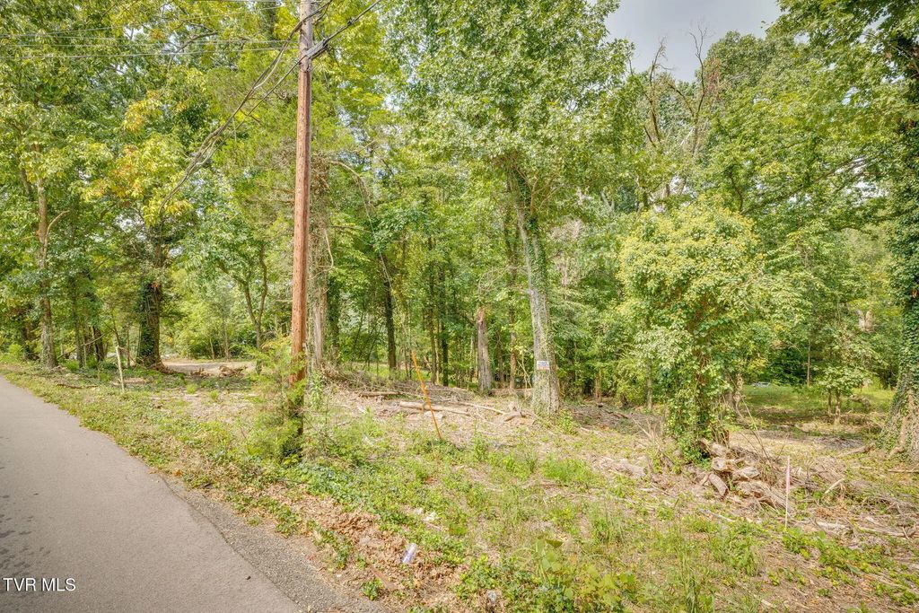 3626 Thornton Drive, Kingsport