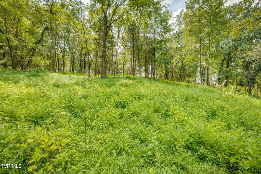3634 Thornton Drive, Kingsport