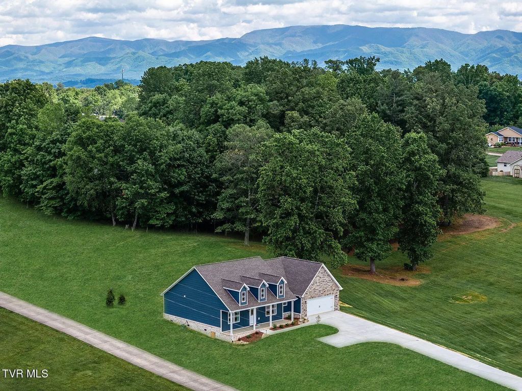 495 Harlan Street, Greeneville