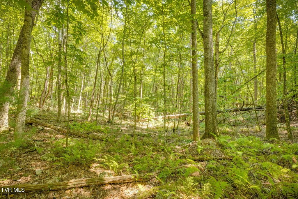 Lot 13 Black Bear Drive, Butler