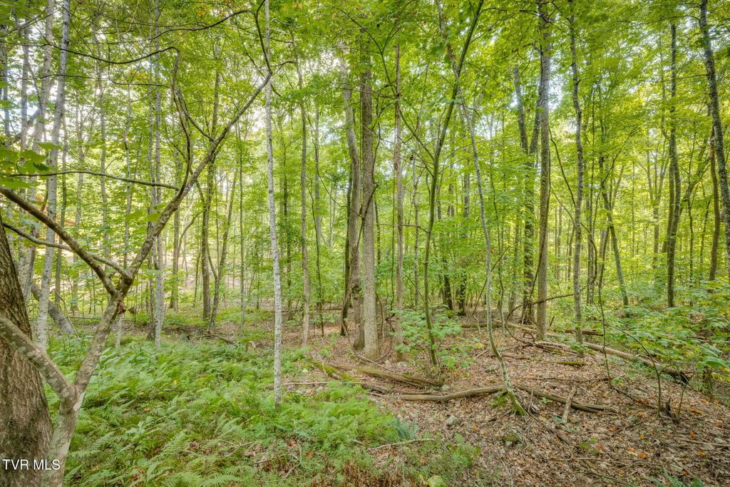 Lot 16 Forest Drive, Butler