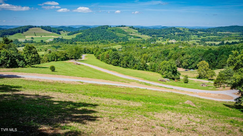 Lot #2 Blackberry Hills Trail, Thorn Hill