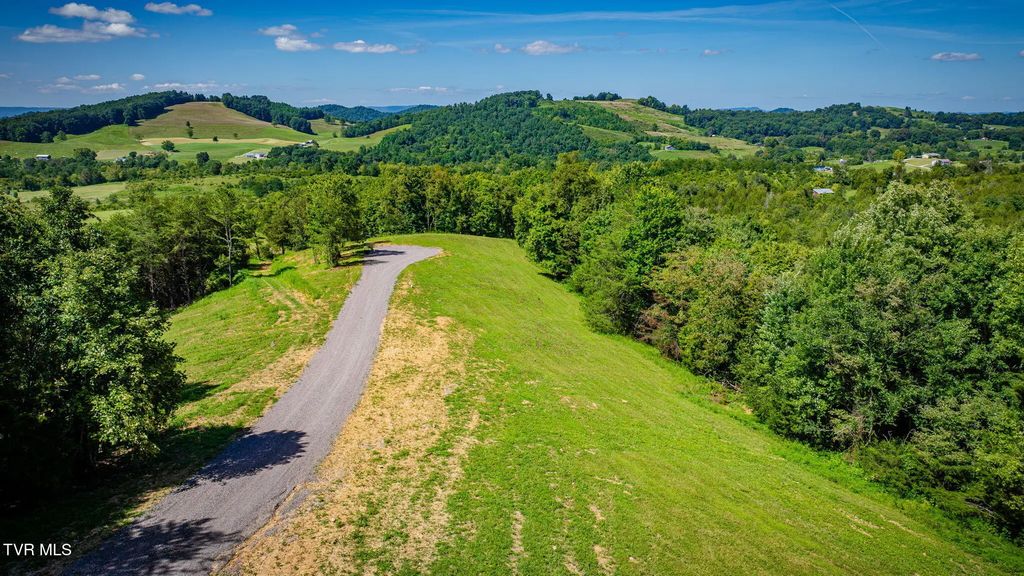 Lot #5 Blackberry Hills Trail, Thorn Hill