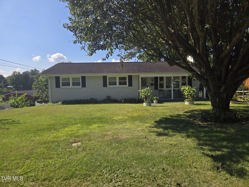 503 Longview Drive, Johnson City