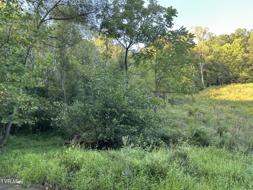 1261 Cave Springs Road, Rogersville