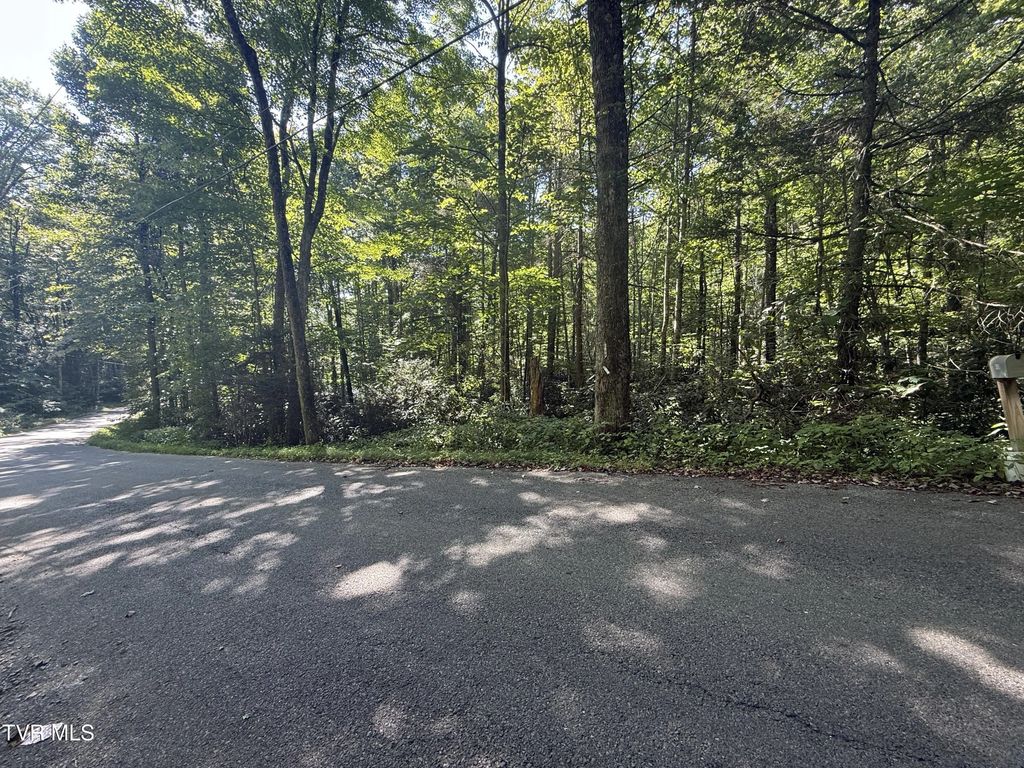 Tbd Viking Mountain Road, Greeneville
