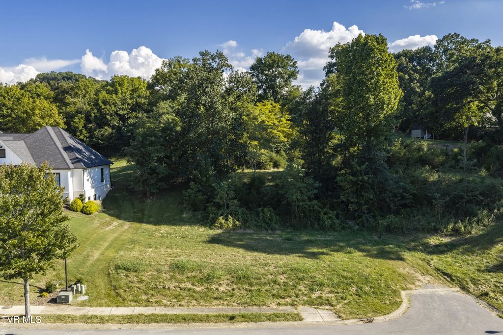 467 Lake Approach Drive, Johnson City