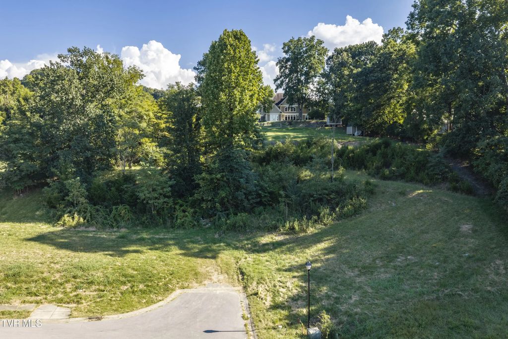479 Lake Approach Drive, Johnson City