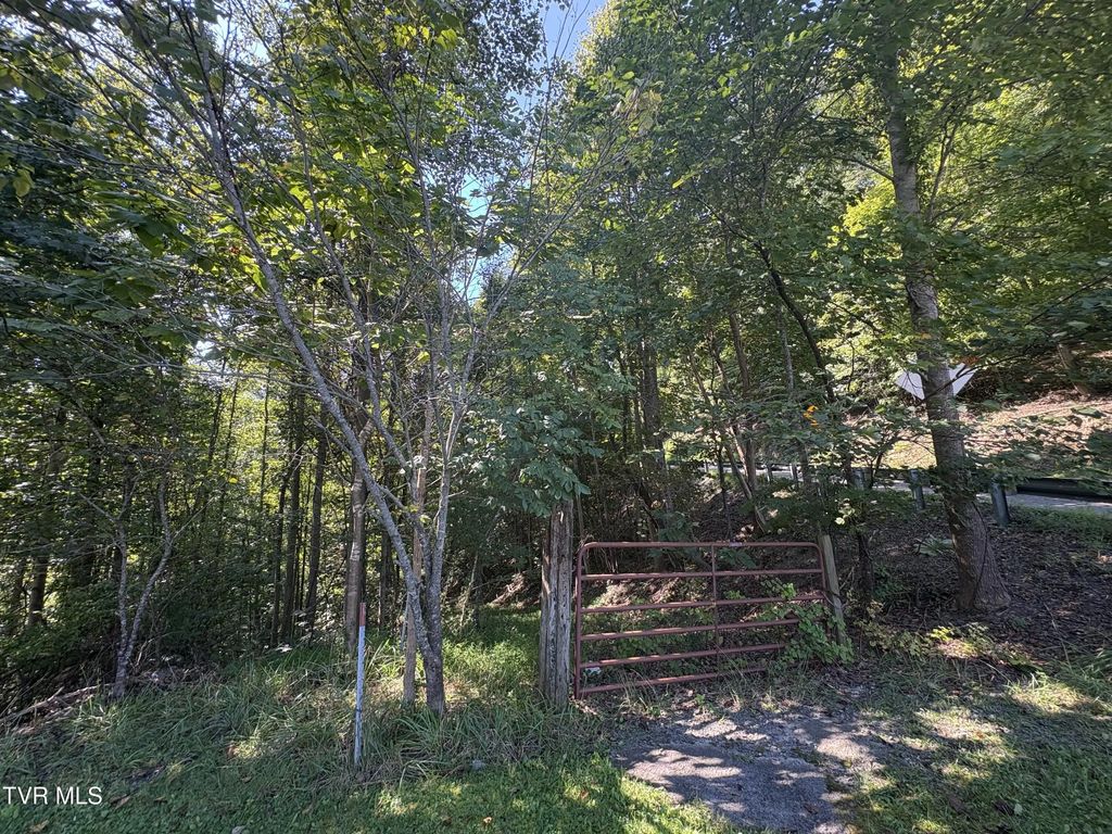 4032 The Lake Road, Clintwood