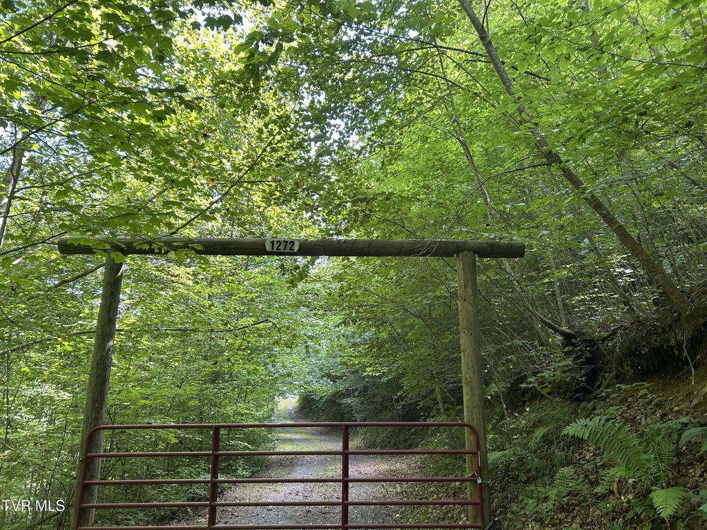 1272 Briar Fork Road, Bean Station