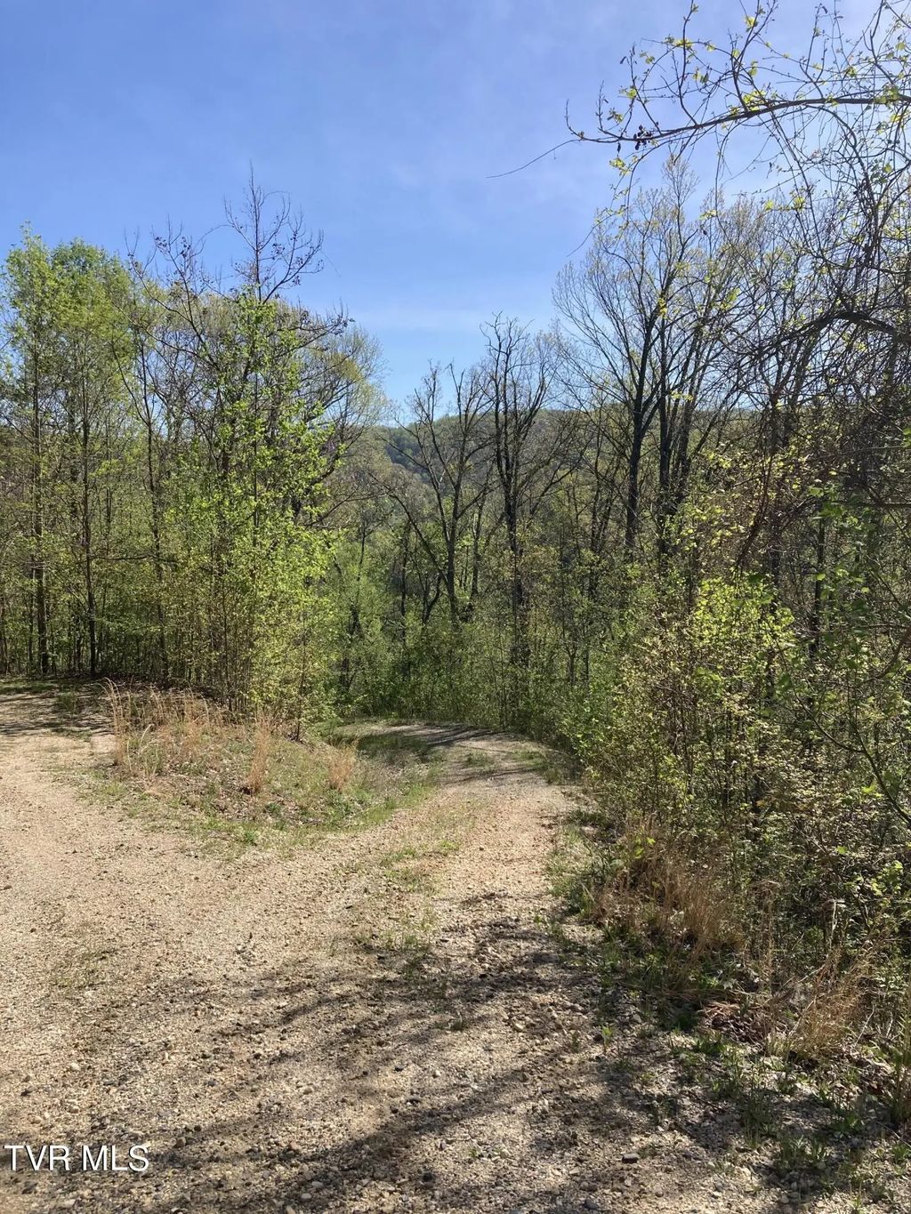Tbd Tulip Poplar Trail 64, Butler