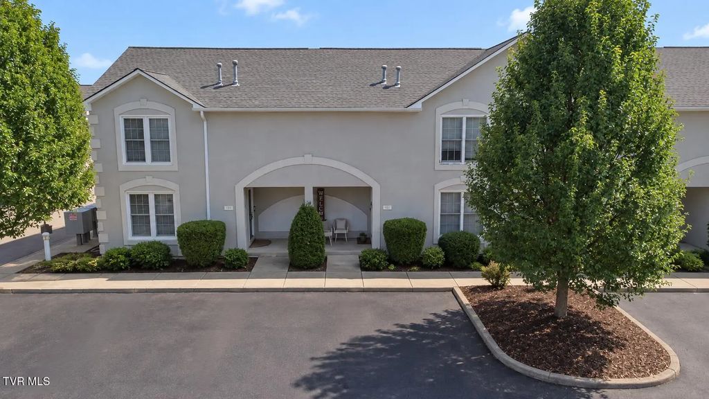 102 Bentley Parc # 5, Johnson City