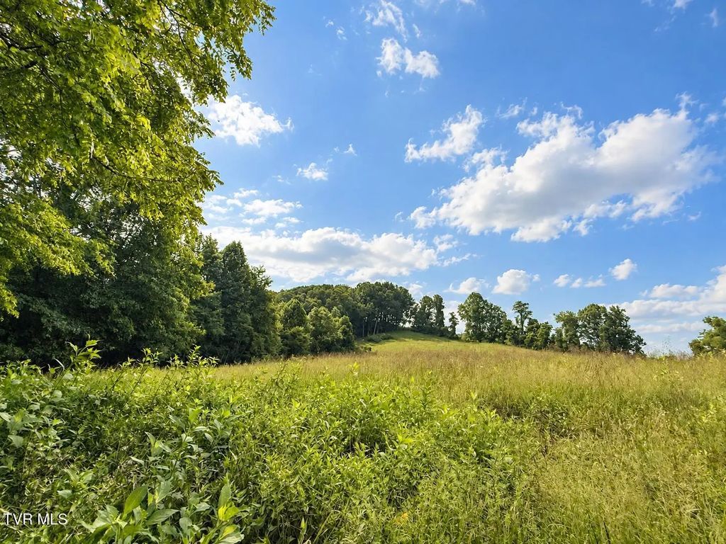 1859 Luray Road, Gate City