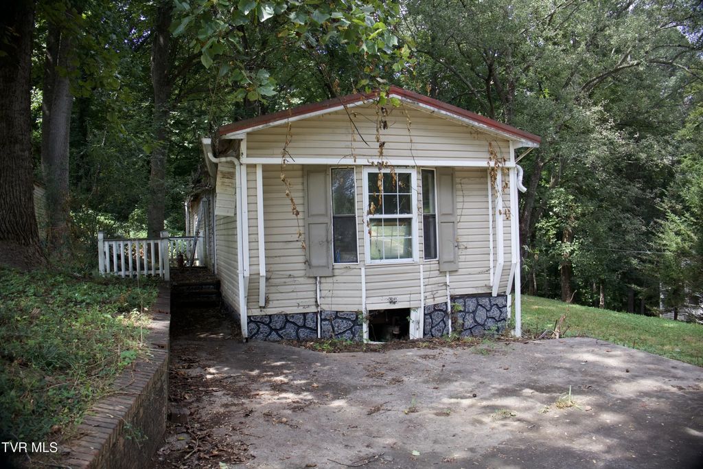 110 Renee Drive, Johnson City