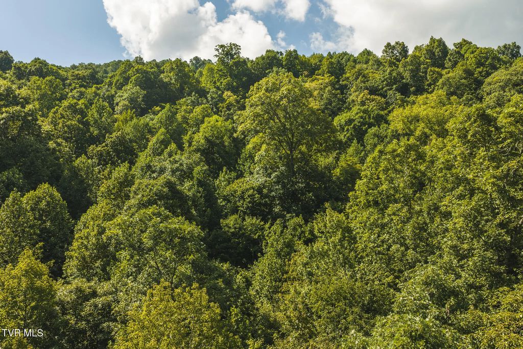 89.608 Ac Watson Hollow, Speedwell