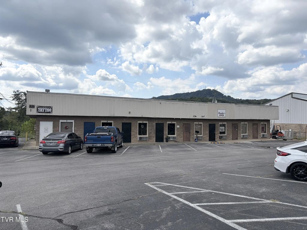 930 Wilcox Court, Kingsport