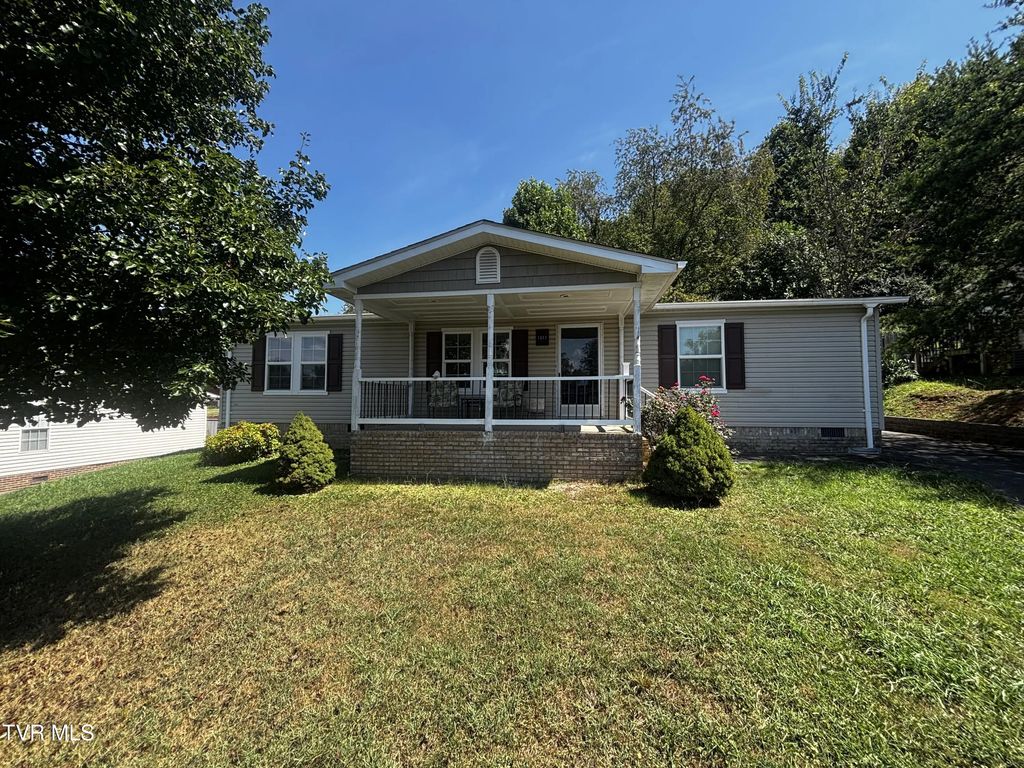 1011 Bertha Greer Street, Kingsport