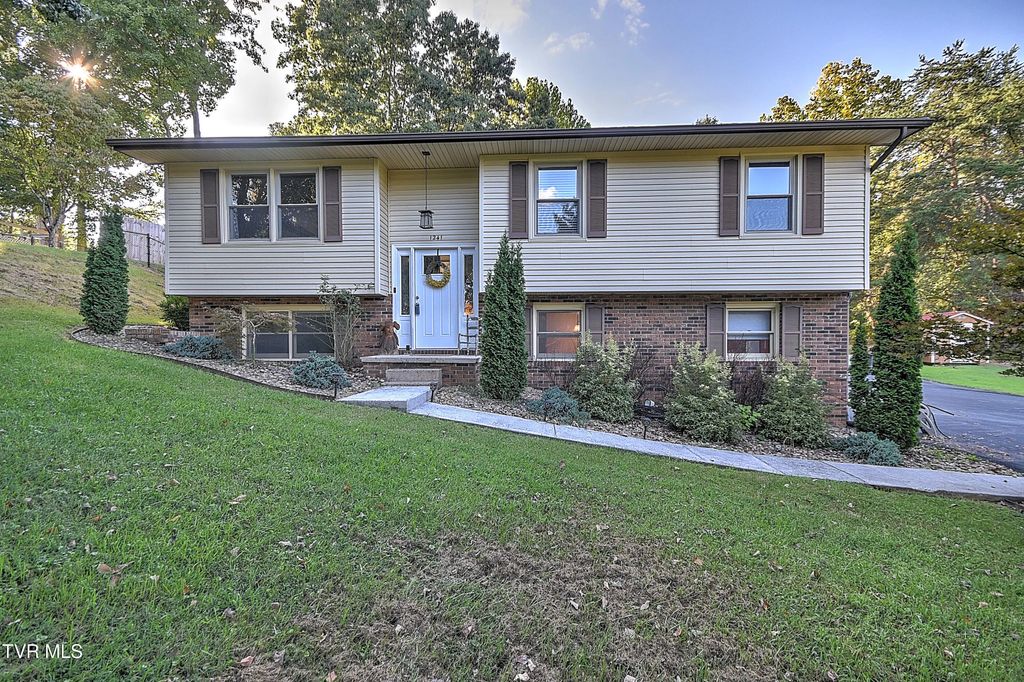 1241 Nassau Drive, Kingsport