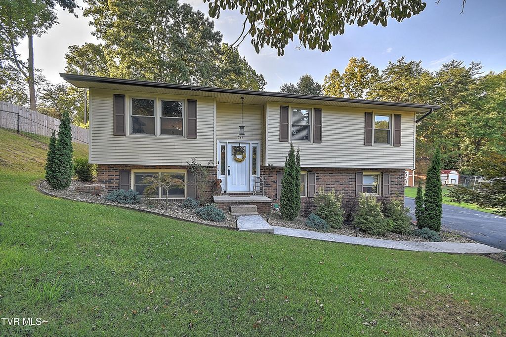 1241 Nassau Drive, Kingsport