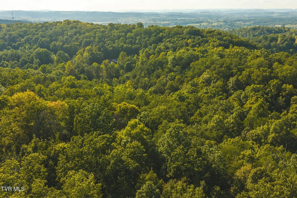 8.62 Ac Stone Mtn Road, Bulls Gap