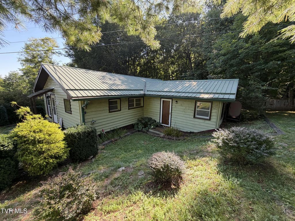 517 Burbank Road, Roan Mountain