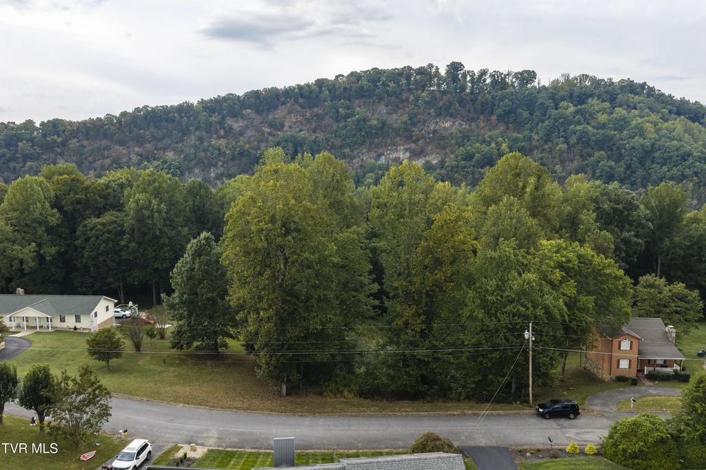 5057 Lake Forest Drive, Kingsport