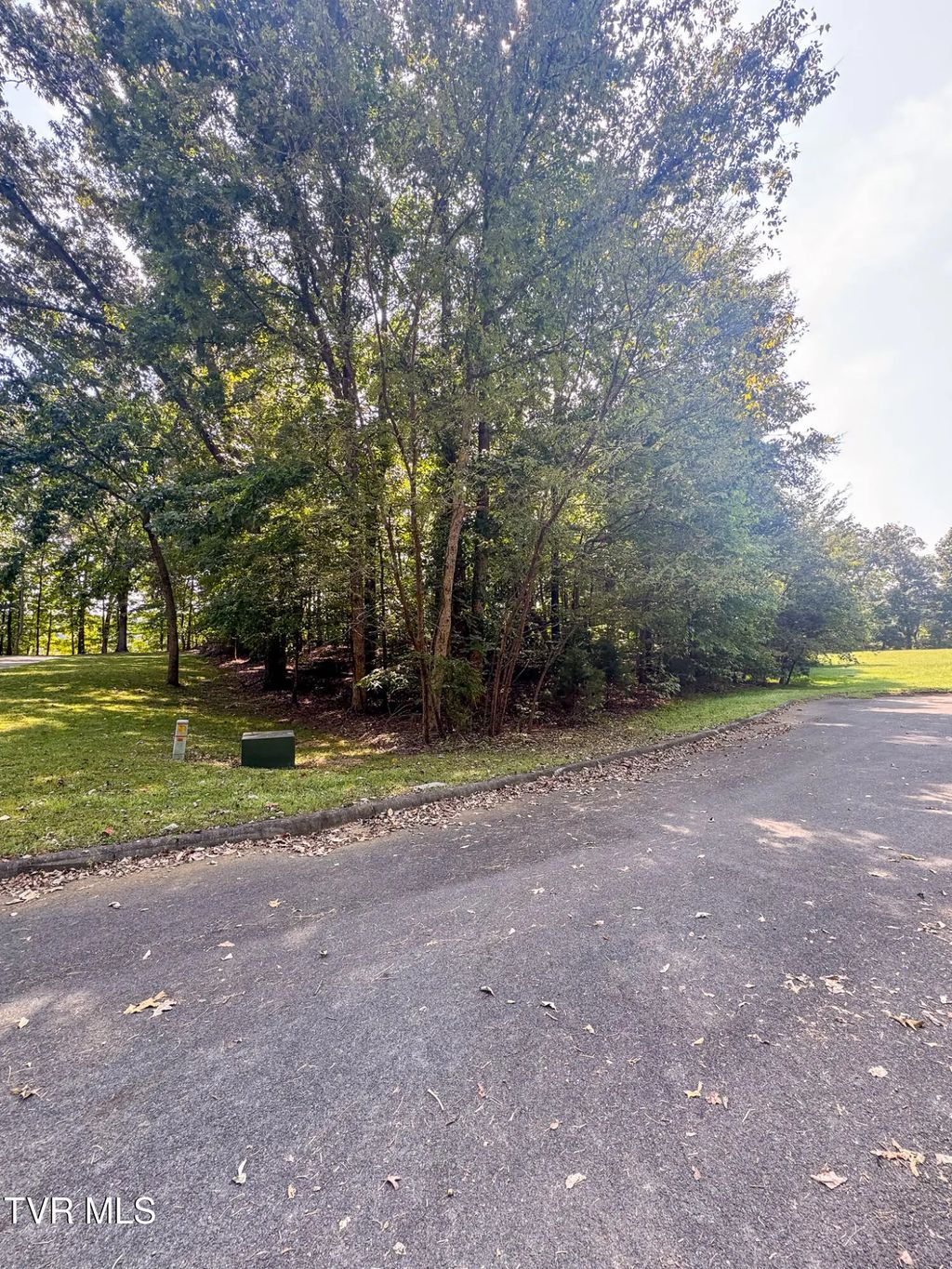 Brooks Pointe Drive Lot 59, Rogersville