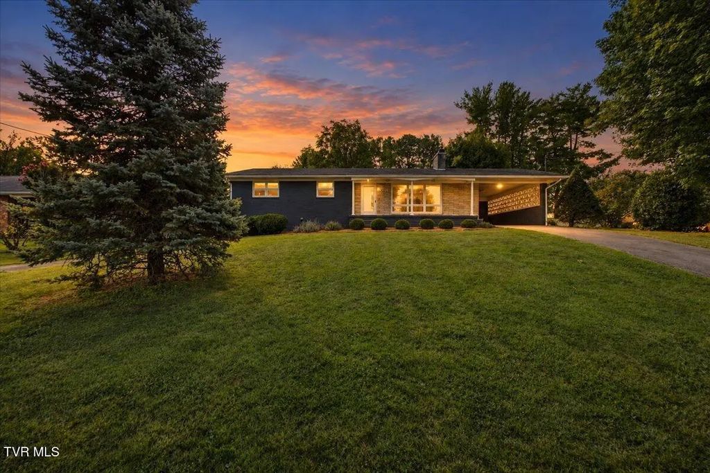202 Brown Avenue, Johnson City