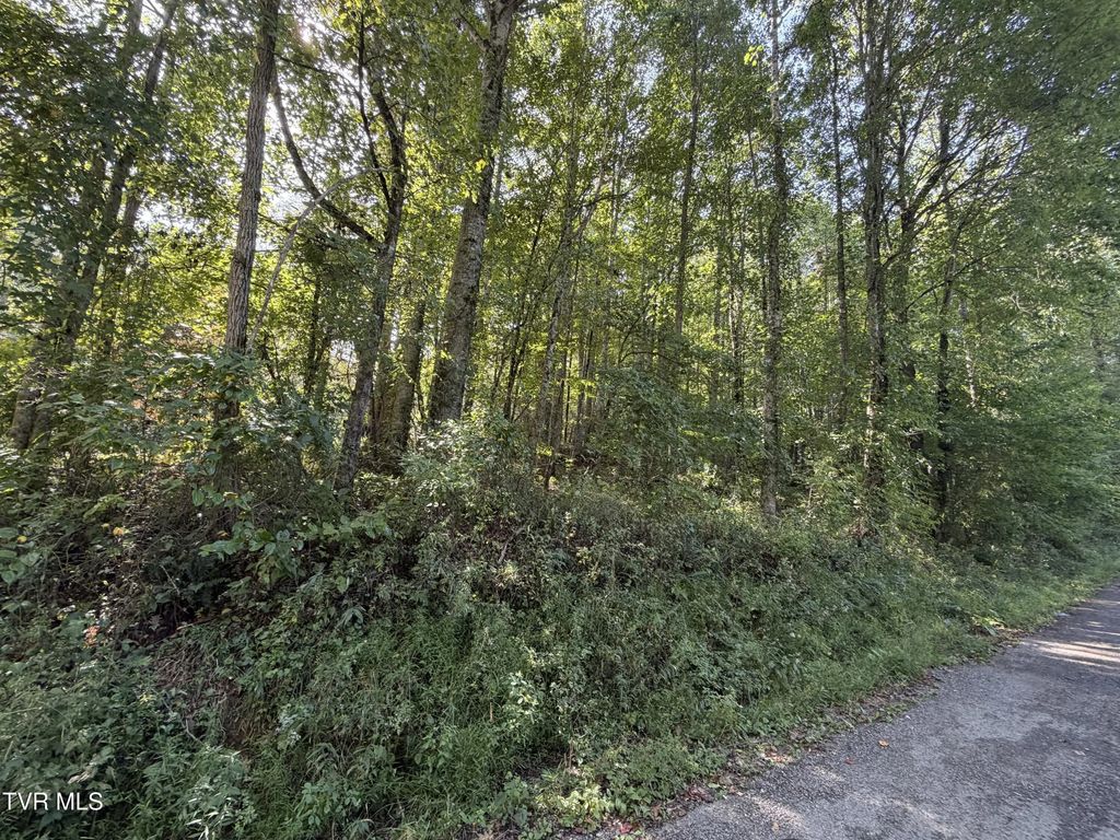 Tbd Woods Lane, Shady Valley