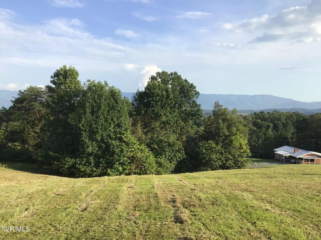 Tbd Ed Crum Way, Greeneville
