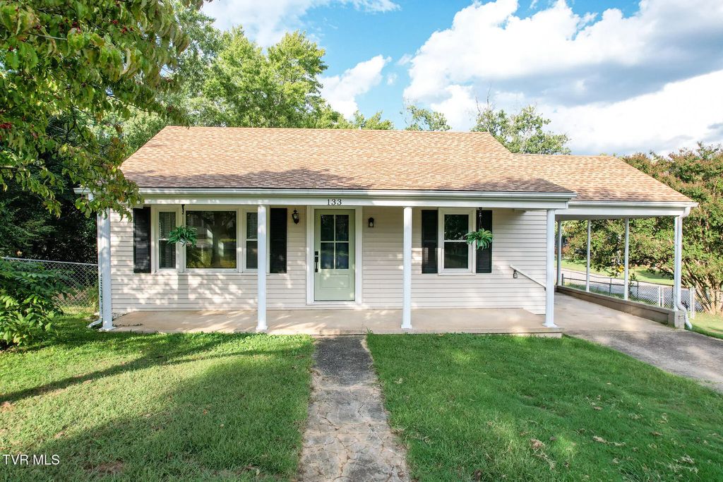 133 Hopeville Avenue, Greeneville