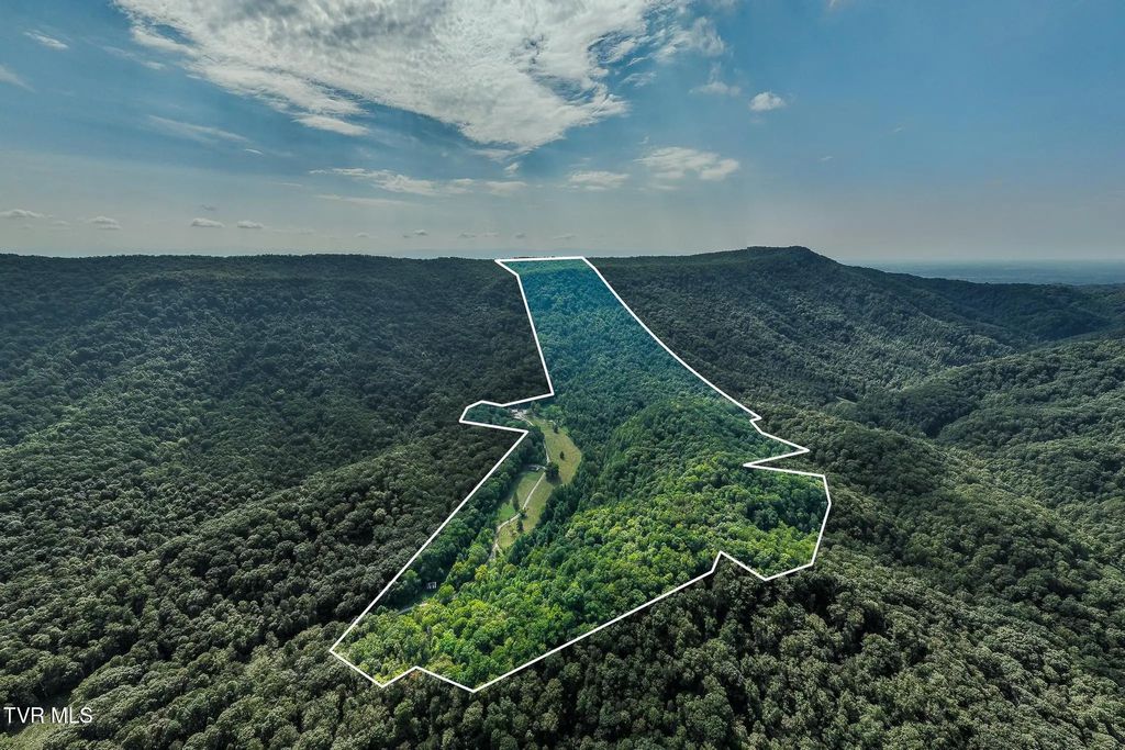 280 Mcmillian Road, Rogersville