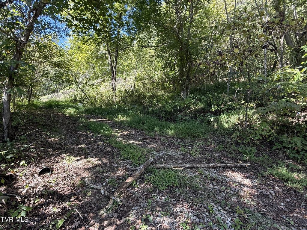 1128 Blue Springs Road, Elizabethton