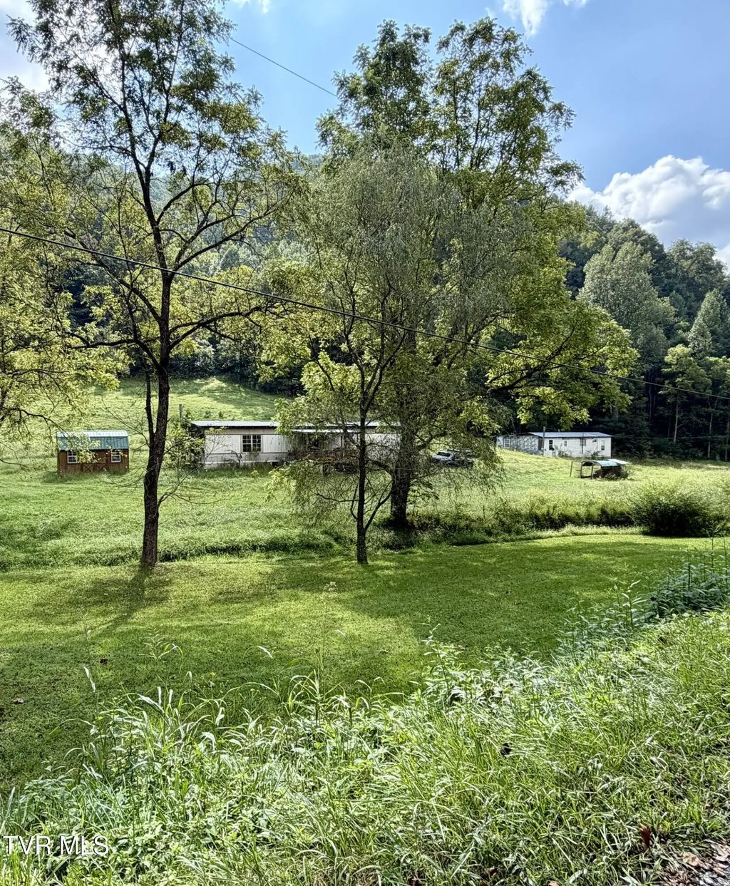 464 Dingus Hollow Lane, Fort Blackmore
