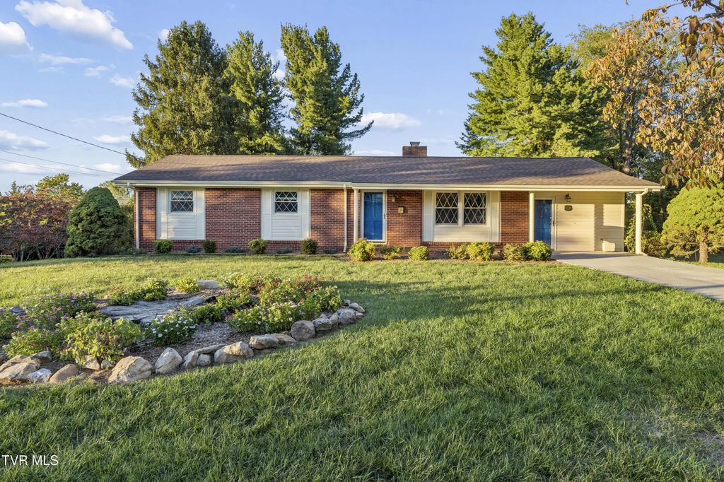 201 Brown Avenue, Johnson City