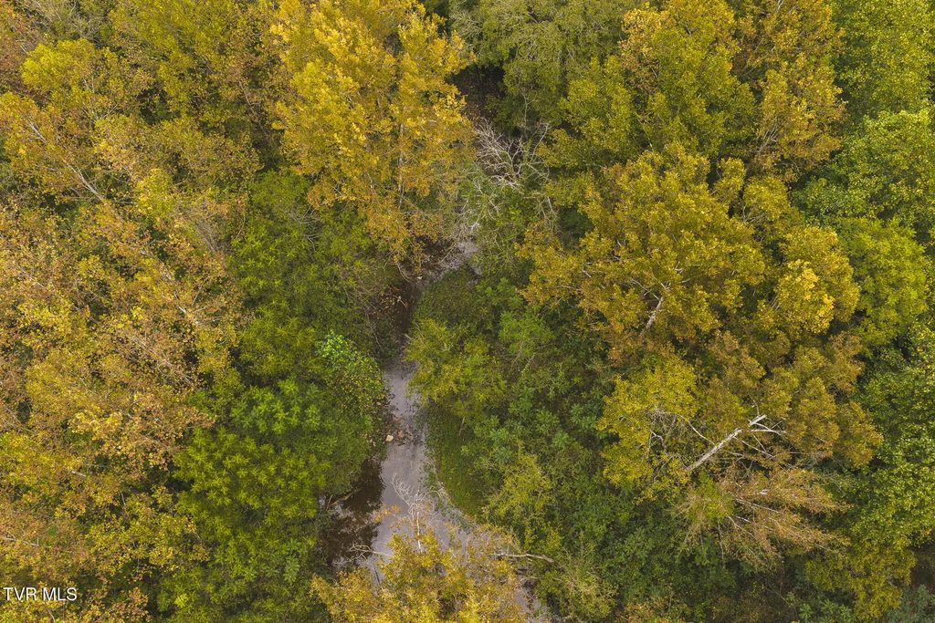 1444 Beech Creek Road, Rogersville