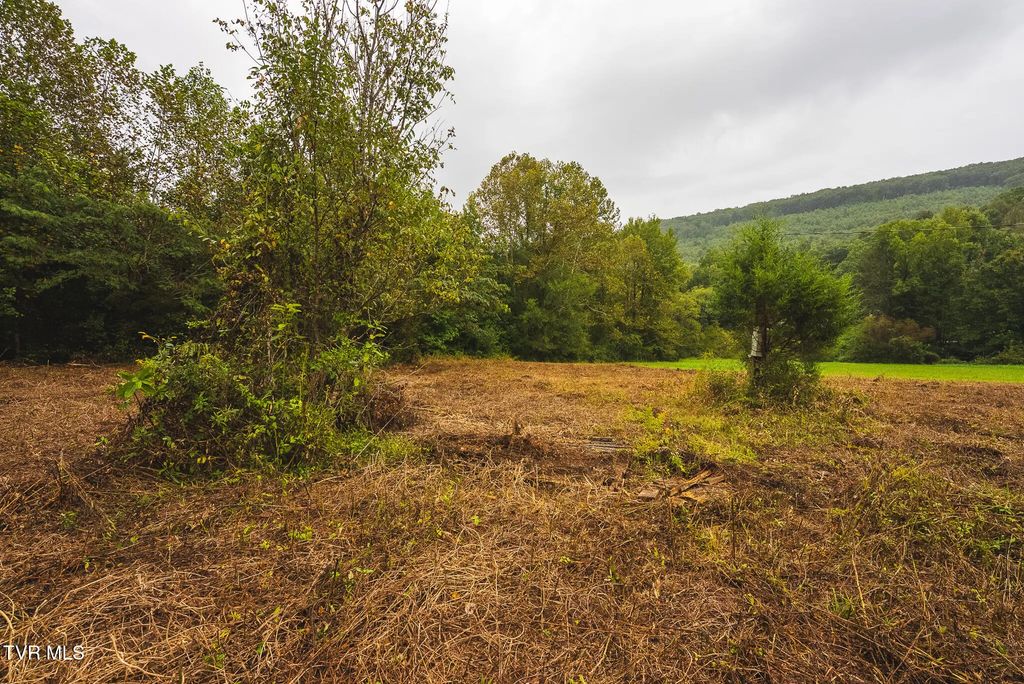 1432 Beech Creek Road, Rogersville