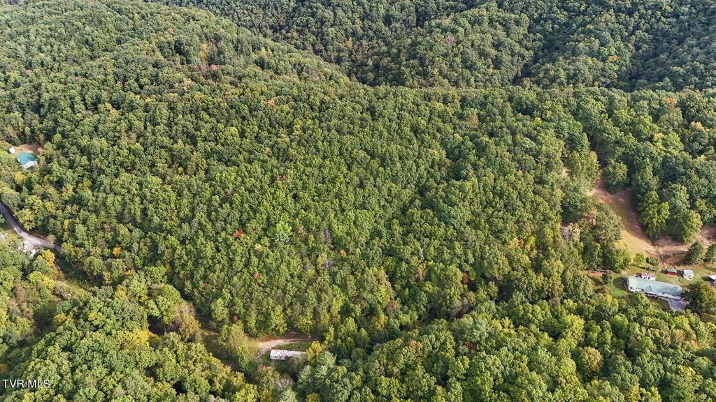 701 Big Arm Branch Road, Bluff City