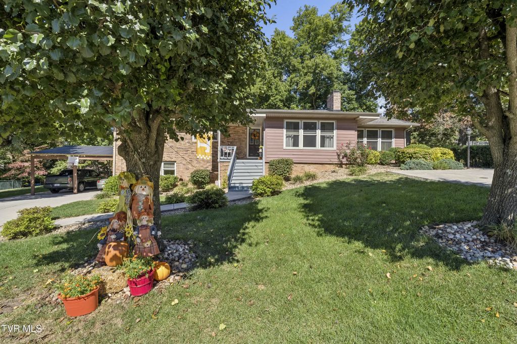 311 Lambeth Drive, Johnson City