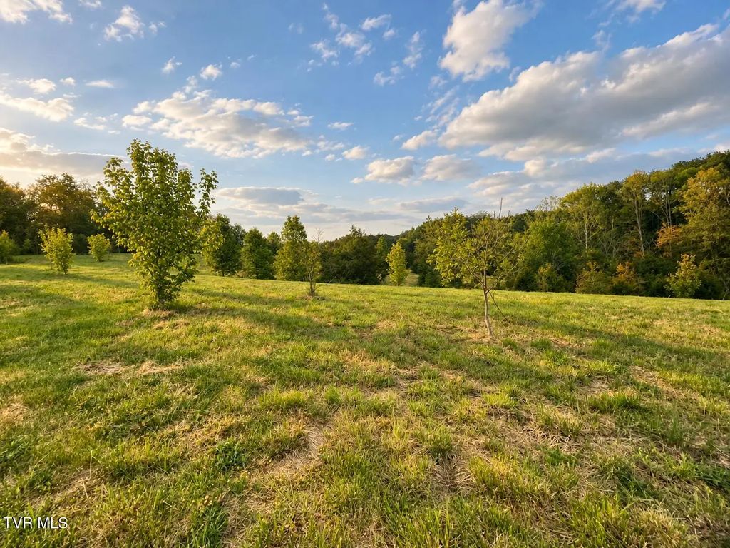 3050 Shackleford Road, Mosheim