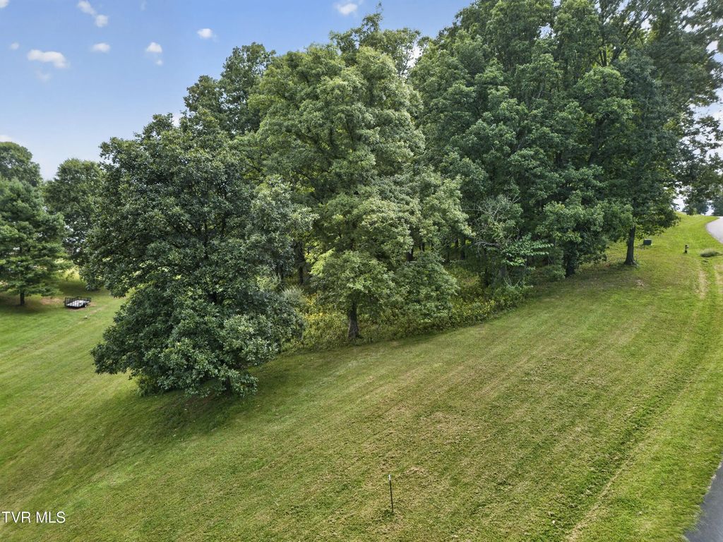 Tbd Clifton Ridge Road Lot 114, Abingdon