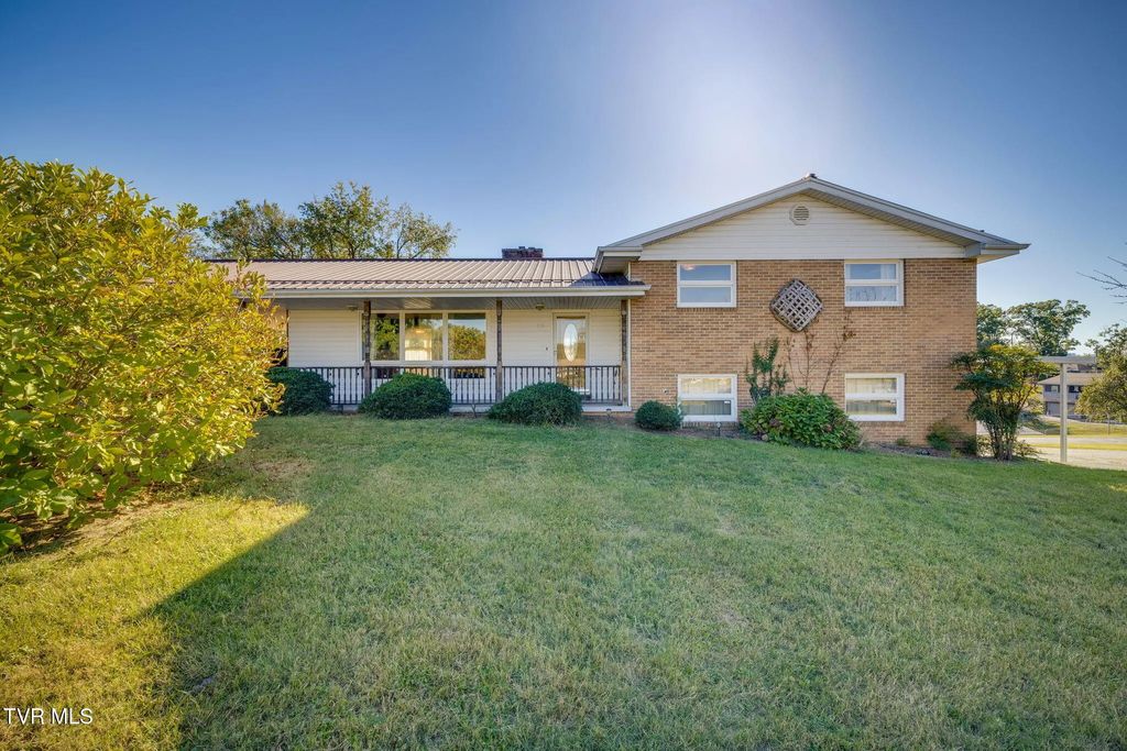 113 Rosefield Drive, Kingsport