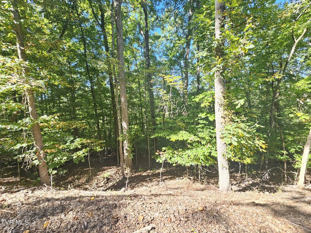 Lot 4 Skyline Drive, Bristol