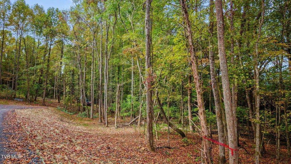 Lot 4 Mary Patton Highway, Elizabethton