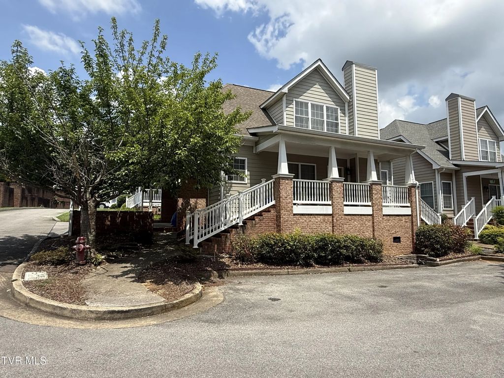 10 Charleston Court, Johnson City