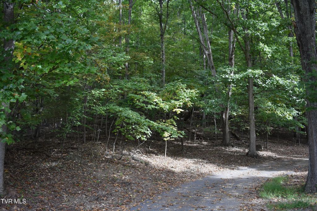 Tbd Echo Hills Drive, Rogersville