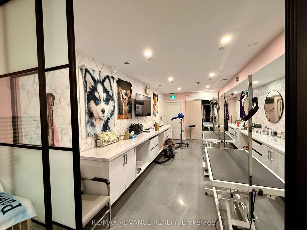 642 Queen Street W Bsmt, Toronto C01