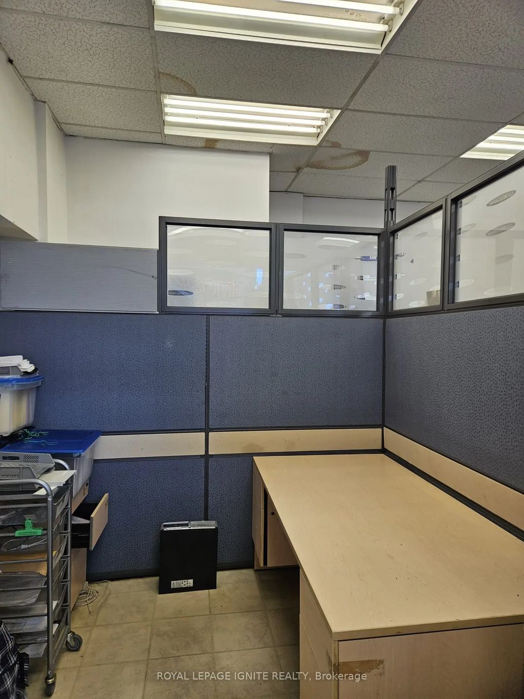 240 Wellesley Street E 103, Toronto C08