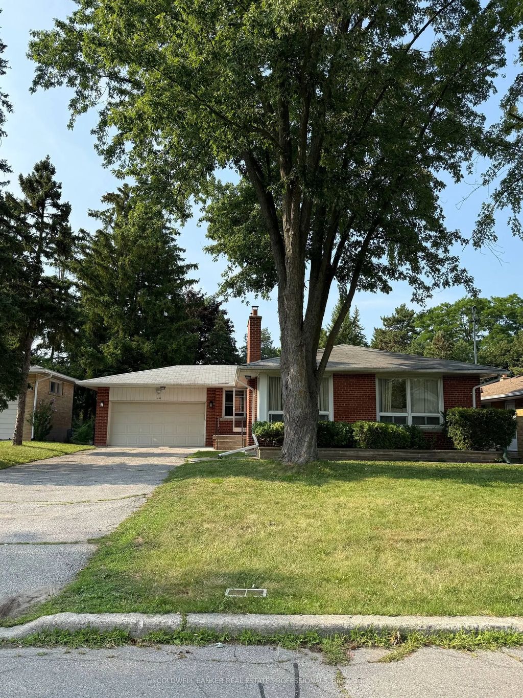 232 Newton Drive Basement B, Toronto C14
