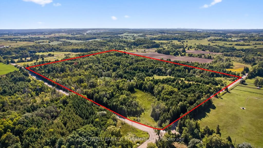 8155 19th Side Road, King